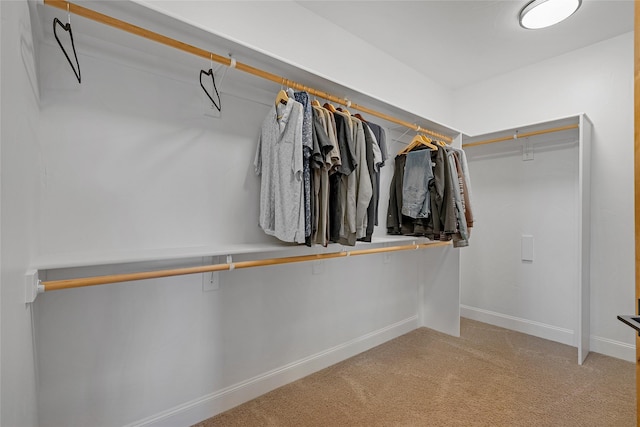 310 Jossie Ln, Kalispell, MT 59901 - spacious closet with light colored carpet