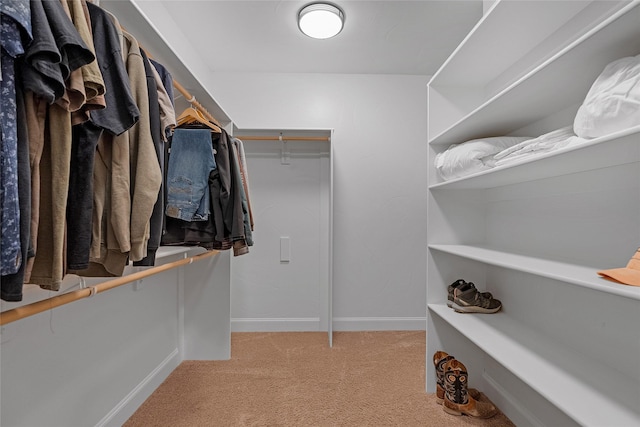 310 Jossie Ln, Kalispell, MT 59901 - walk in closet with light colored carpet
