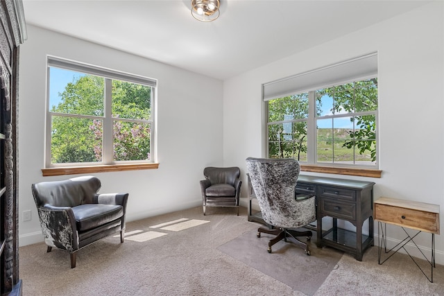 310 Jossie Ln, Kalispell, MT 59901 - office area with carpet floors
