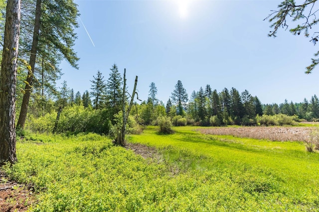 161 Hastings Trl, Columbia Falls, MT 59912 - view of woods