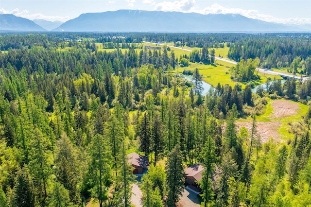161 Hastings Trl, Columbia Falls, MT 59912 - aerial view of a mountain backdrop and a heavily wooded area