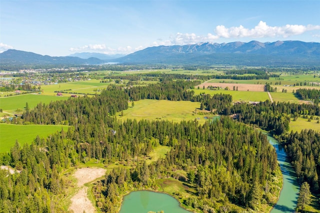 161 Hastings Trl, Columbia Falls, MT 59912 - bird's eye view of a water and mountain view