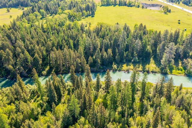 161 Hastings Trl, Columbia Falls, MT 59912 - bird's eye view of a large body of water and a heavily wooded area