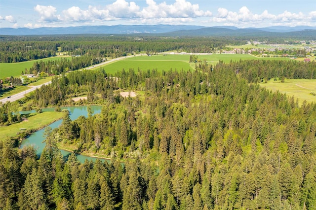 161 Hastings Trl, Columbia Falls, MT 59912 - bird's eye view of a water and mountain view and a forest