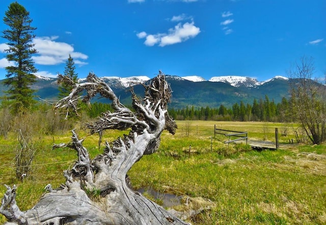 895 Mud Lake Rd, Bigfork, MT 59911
