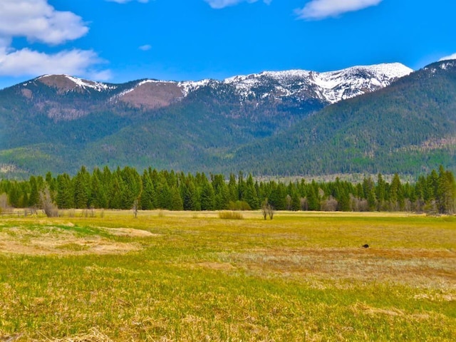 895 Mud Lake Rd, Bigfork, MT 59911