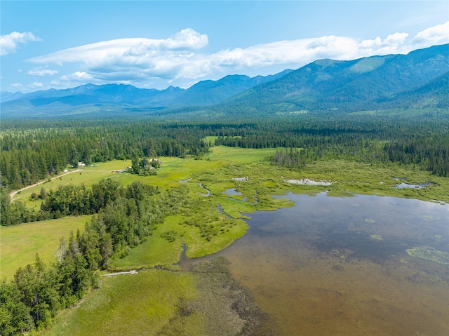 895 Mud Lake Rd, Bigfork, MT 59911