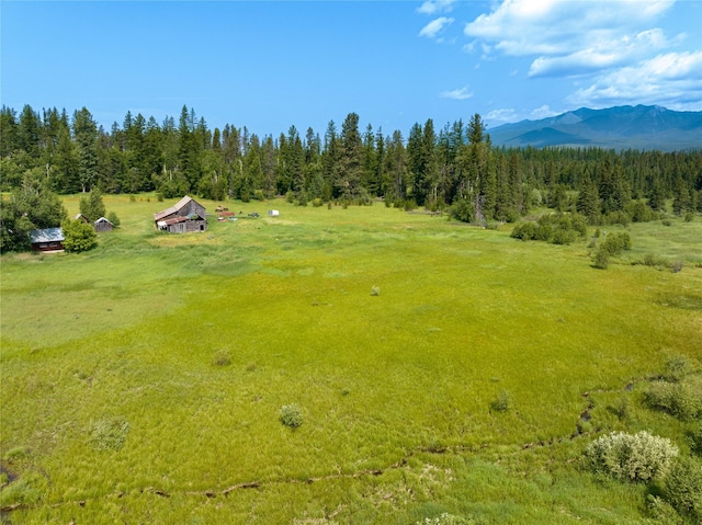 895 Mud Lake Rd, Bigfork, MT 59911