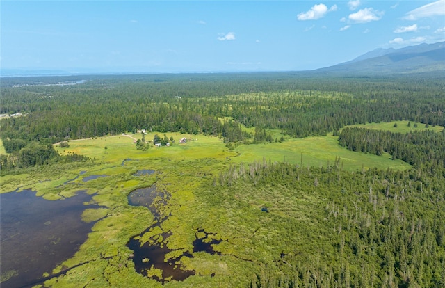 895 Mud Lake Rd, Bigfork, MT 59911