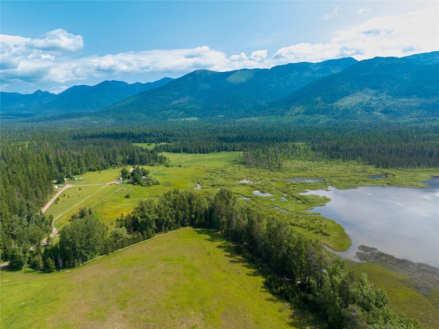 895 Mud Lake Rd, Bigfork, MT 59911