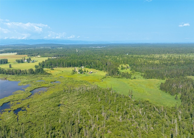 895 Mud Lake Rd, Bigfork, MT 59911
