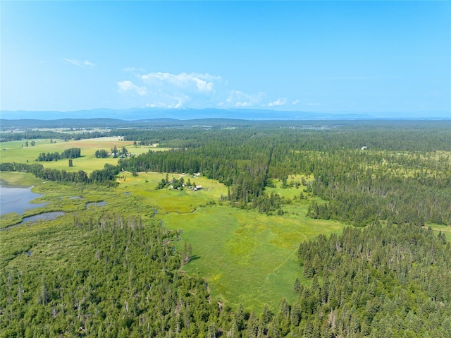 895 Mud Lake Rd, Bigfork, MT 59911