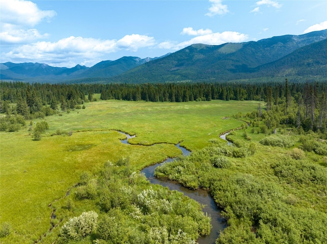895 Mud Lake Rd, Bigfork, MT 59911