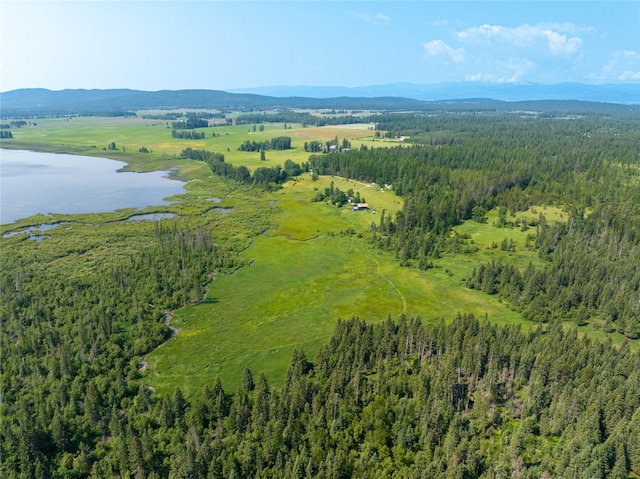 895 Mud Lake Rd, Bigfork, MT 59911