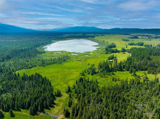 895 Mud Lake Rd, Bigfork, MT 59911