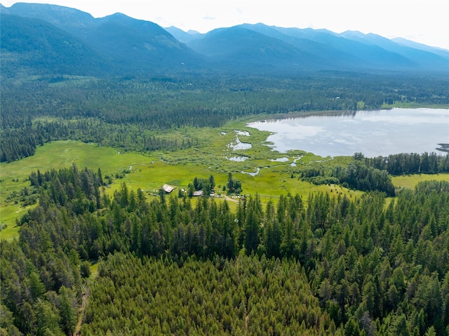 895 Mud Lake Rd, Bigfork, MT 59911