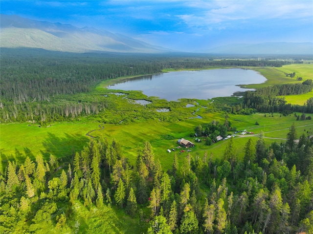 895 Mud Lake Rd, Bigfork, MT 59911