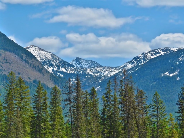 895 Mud Lake Rd, Bigfork, MT 59911
