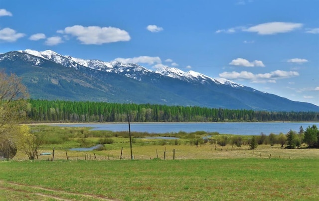 895 Mud Lake Rd, Bigfork, MT 59911