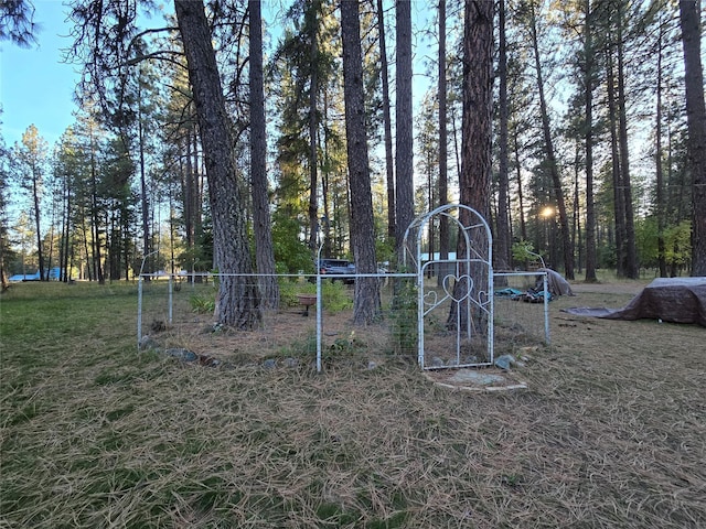226 Powerline Way, Libby, MT 59923 - view of yard