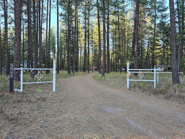 226 Powerline Way, Libby, MT 59923 - view of dirt / gravel driveway featuring a forest view