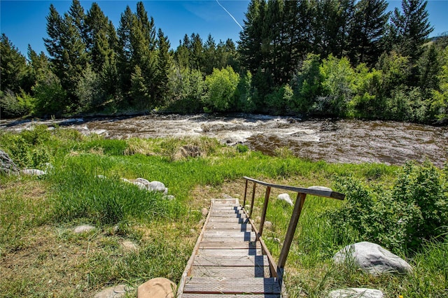 29 Gold Coin Rd, Hall, MT 59837 - view of yard