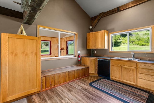 29 Gold Coin Rd, Hall, MT 59837 - kitchen with dishwasher, a sink, beam ceiling, light wood finished floors, and high vaulted ceiling