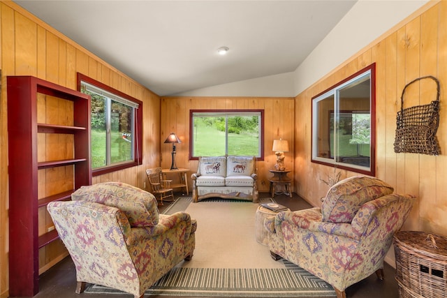 29 Gold Coin Rd, Hall, MT 59837 - living room with vaulted ceiling and wood walls