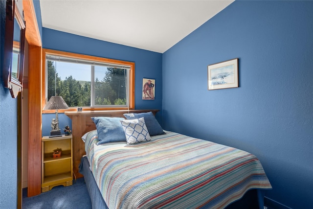 29 Gold Coin Rd, Hall, MT 59837 - bedroom with carpet floors and lofted ceiling
