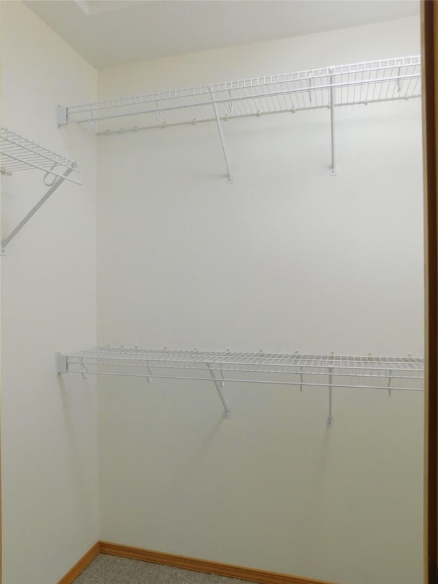 1960/1962 Greatview Dr, Kalispell, MT 59901 - spacious closet with carpet flooring