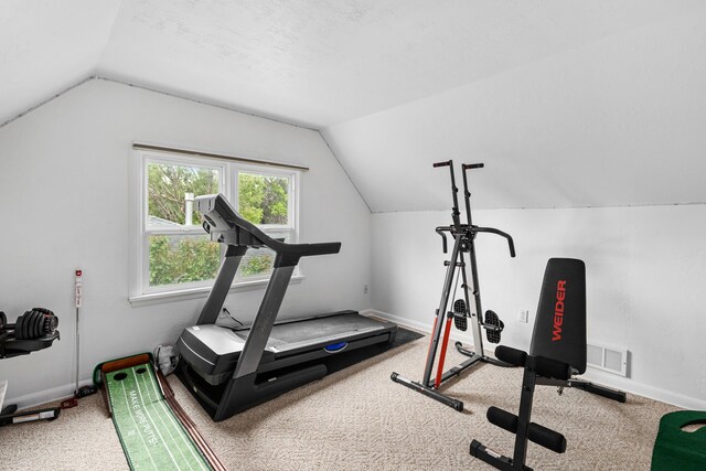 2713 5th Ave S, Great Falls, MT 59405 - workout area featuring lofted ceiling, carpet, and baseboards