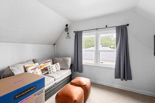 2713 5th Ave S, Great Falls, MT 59405 - living room featuring lofted ceiling, carpet floors, and baseboards