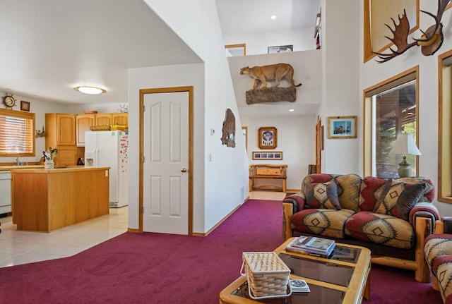 37817 Kings Point Rd, Polson, MT 59860 - living room with light carpet