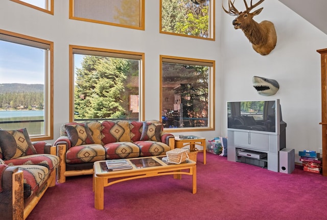 37817 Kings Point Rd, Polson, MT 59860 - living room featuring healthy amount of natural light, carpet, and a high ceiling