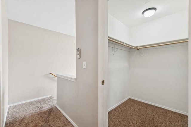 8 Mitchell Way, Columbia Falls, MT 59912 - spacious closet with carpet floors