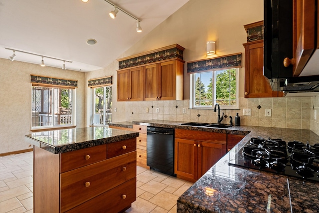 3721 Brandon Way, Missoula, MT 59803 - kitchen featuring track lighting, black appliances, a sink, backsplash, and high vaulted ceiling