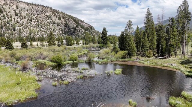 LOT2TBD Harris Rd, Anaconda, MT 59711
