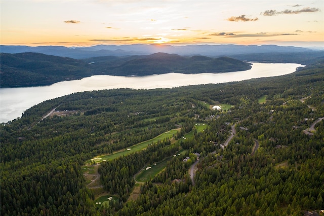 168 Whitefish Lookout Rd, Whitefish, MT 59937