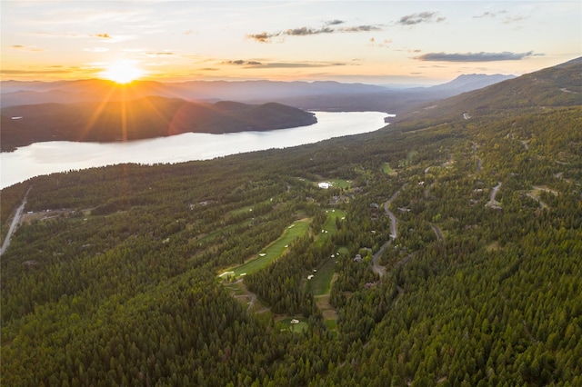 168 Whitefish Lookout Rd, Whitefish, MT 59937