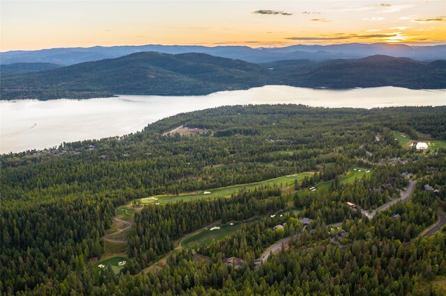 168 Whitefish Lookout Rd, Whitefish, MT 59937