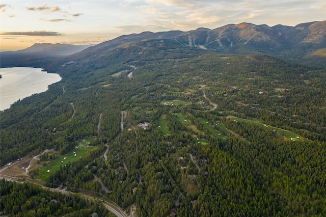 168 Whitefish Lookout Rd, Whitefish, MT 59937