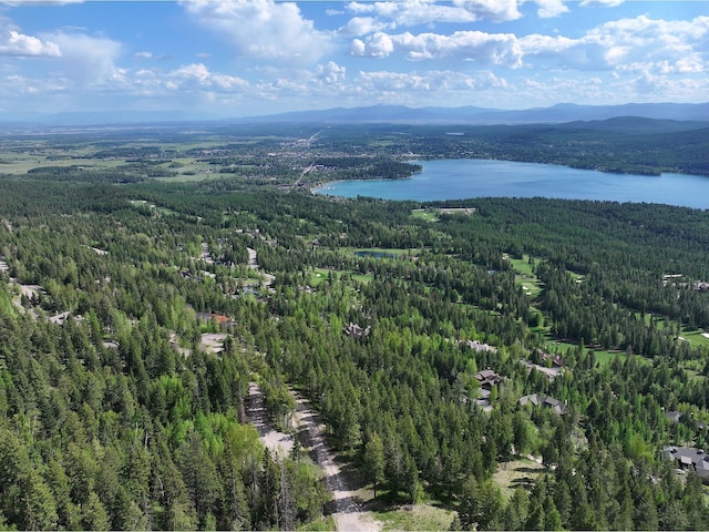 168 Whitefish Lookout Rd, Whitefish, MT 59937