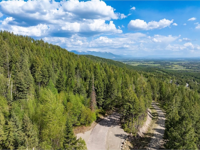 168 Whitefish Lookout Rd, Whitefish, MT 59937