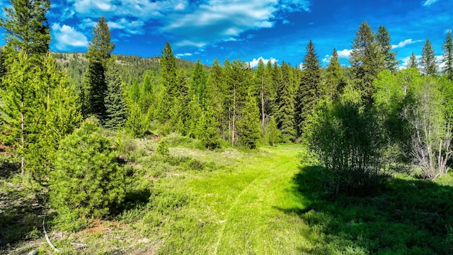 Nhn Houghton Creek Road, Libby, MT 59923
