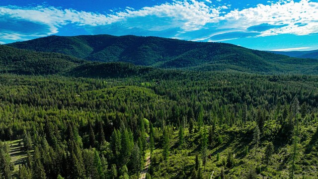 Nhn Houghton Creek Road, Libby, MT 59923