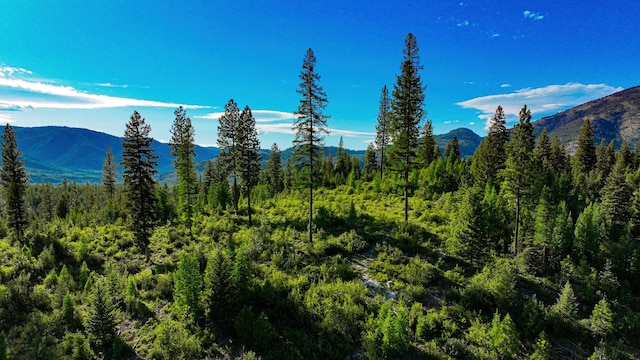 Nhn Houghton Creek Road, Libby, MT 59923