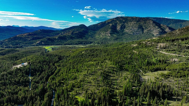 Nhn Houghton Creek Road, Libby, MT 59923