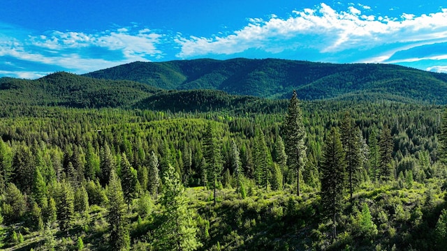 Nhn Houghton Creek Road, Libby, MT 59923