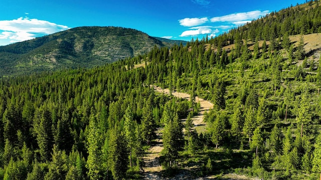 Nhn Houghton Creek Road, Libby, MT 59923