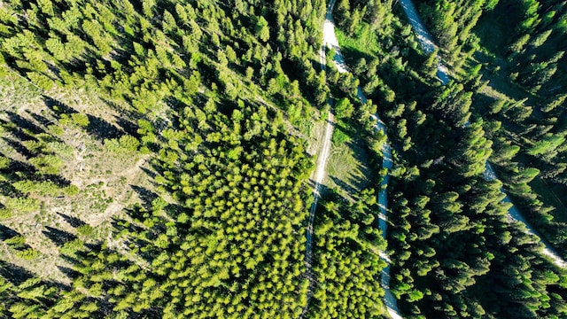 Nhn Houghton Creek Road, Libby, MT 59923